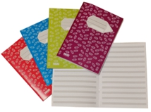 Skrivh&auml;ftet i 4 f&auml;rger